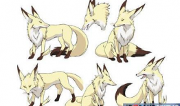 狐狸动漫,穿越时空的奇幻之旅